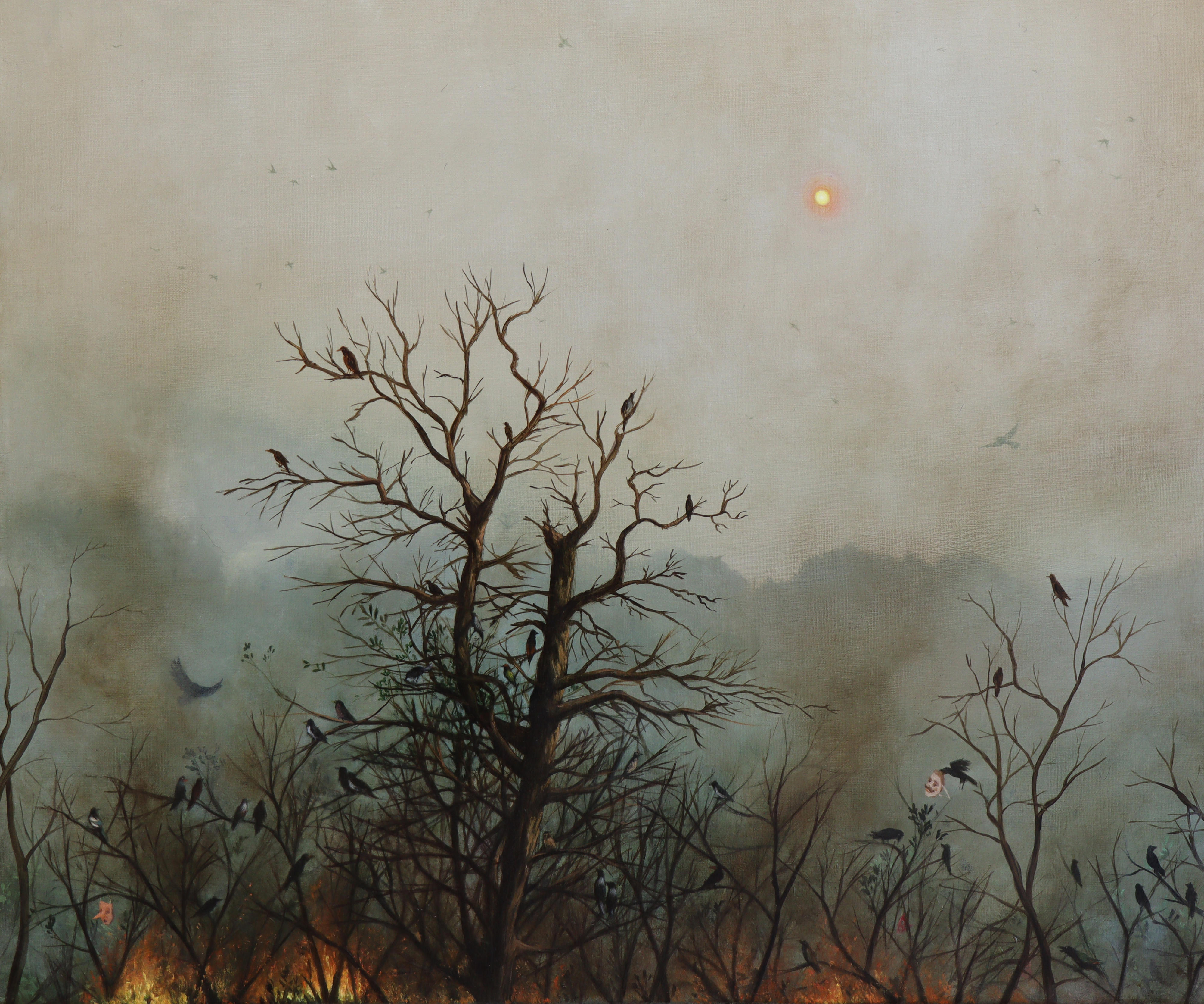 Veiled Sun